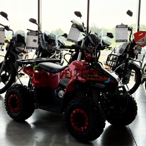 Квадроцикл детский YACOTA (Якота) RAPOSA 110 красный (машинокомплект) | Мототека Квадроцикл детский YACOTA (Якота) RAPOSA 110 красный (машинокомплект) | Мототека